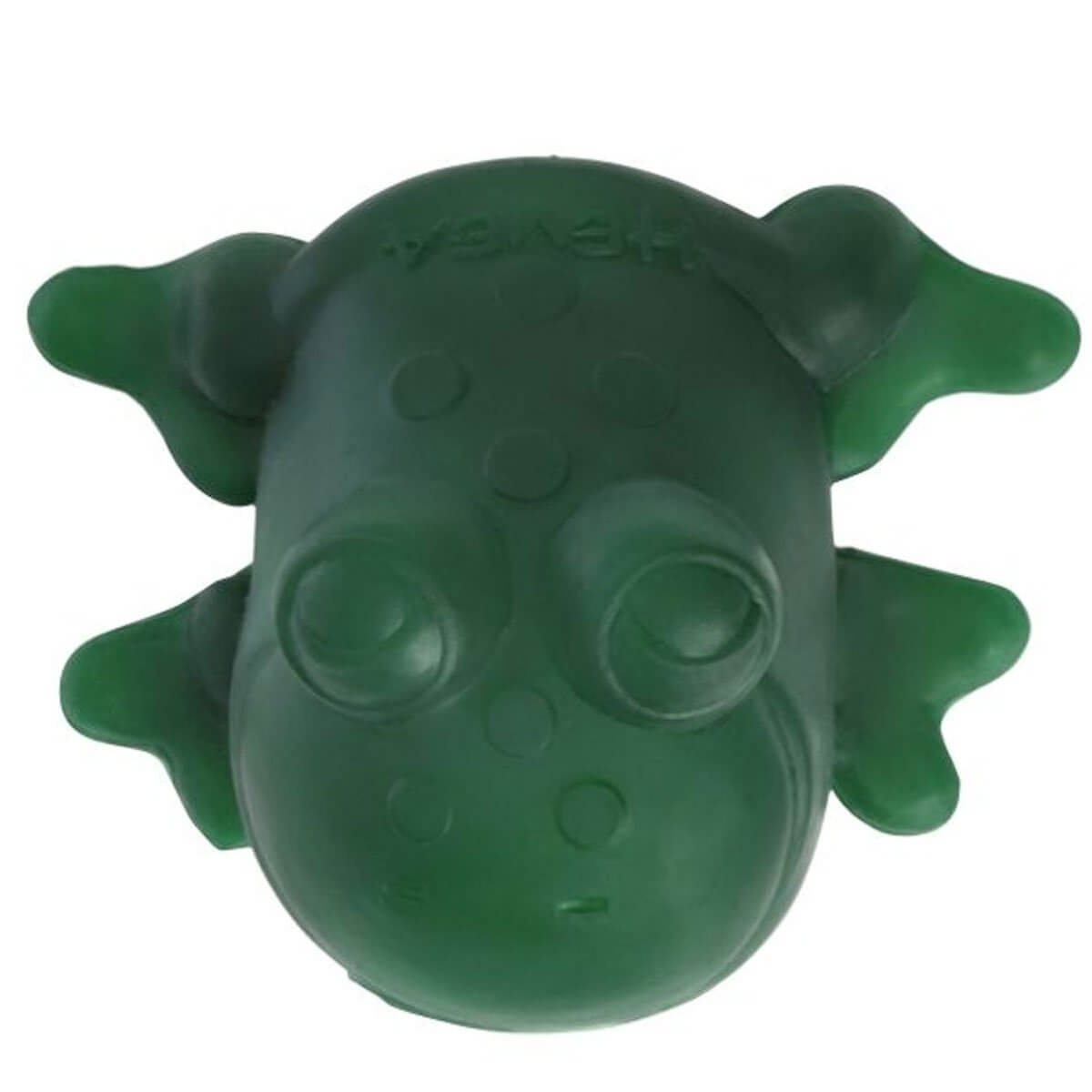 Fred the Green Frog - Natural Rubber Bath Toy - Hevea